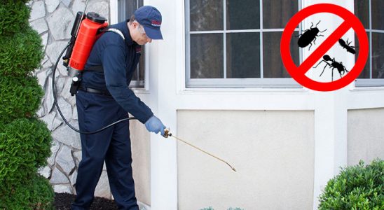 Karpuzlu Kene İlaçlama böcek ilaçlama ve haşere kontrolü — ilaclama-tr.com